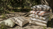 Monet Solution Dyed Eco-Friendly Outdoor Cushion 55cm Square Polyester Filled - Green | Oatmeal