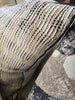 Tilly Cushion 55cm Square - Sand | Charcoal