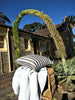 Carss Yarn Dyed Heavy Weight Pure French Linen Cushion 50cmx50cm - Feather Filled - Navy