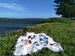 Woven Tapestry Picnic Rug Beach Blanket-  Grid Colouring