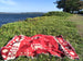 Woven Tapestry Picnic Rug Beach Blanket-  Aztec Red
