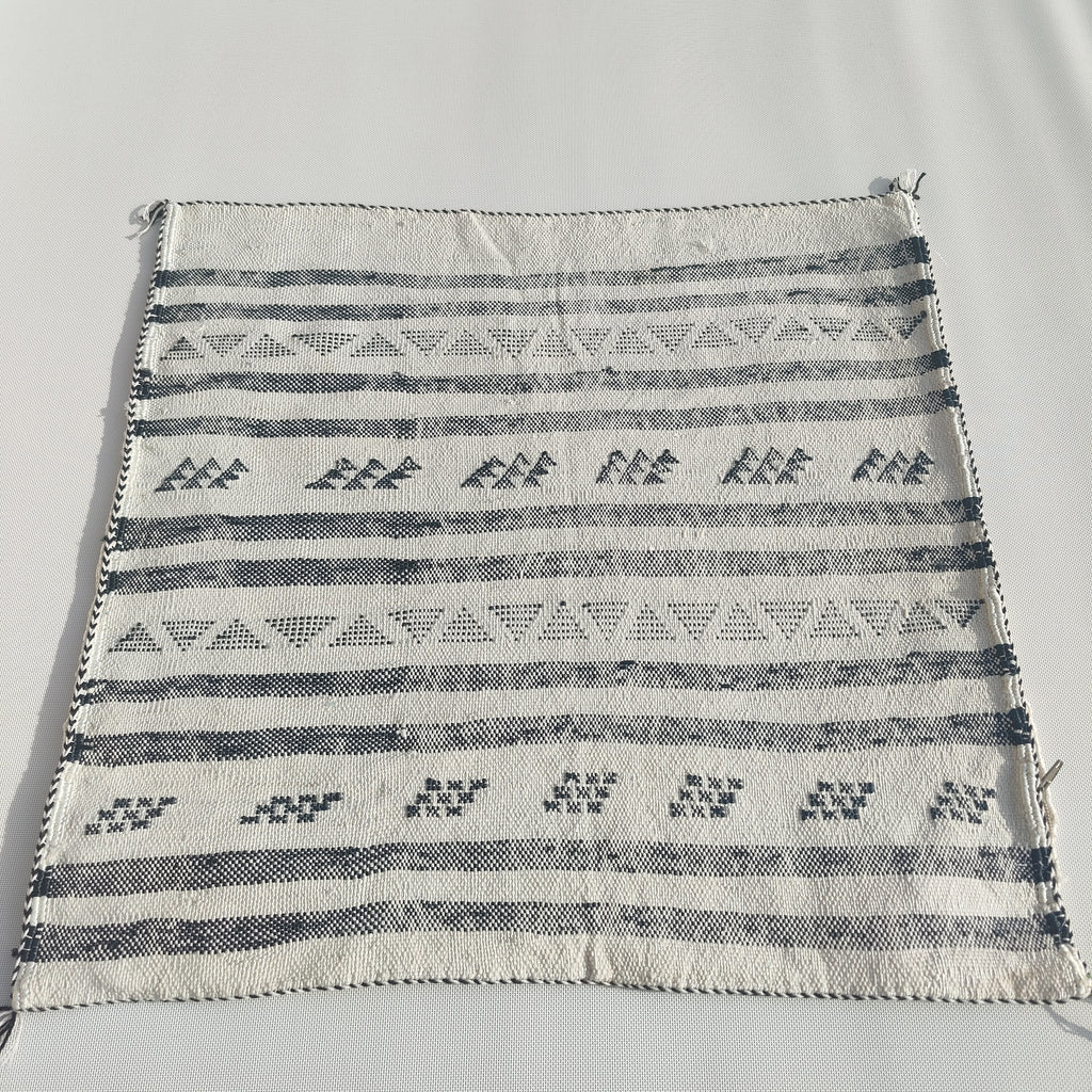 Casablanca Artisan Moroccan Cactus Silk Home Hand-Loomed Vegan Cushion Cover